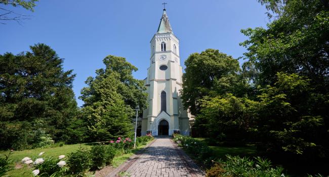 náhled 2