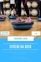 ZKUŠEBNÍ LEKCE BOSU 1